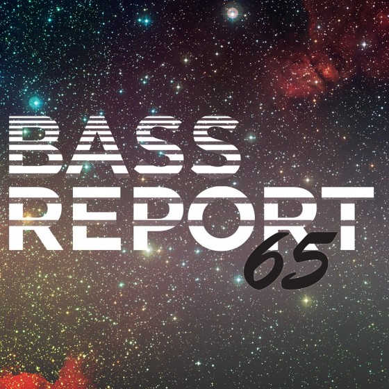 BassReport 65