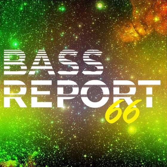 BassReport 66