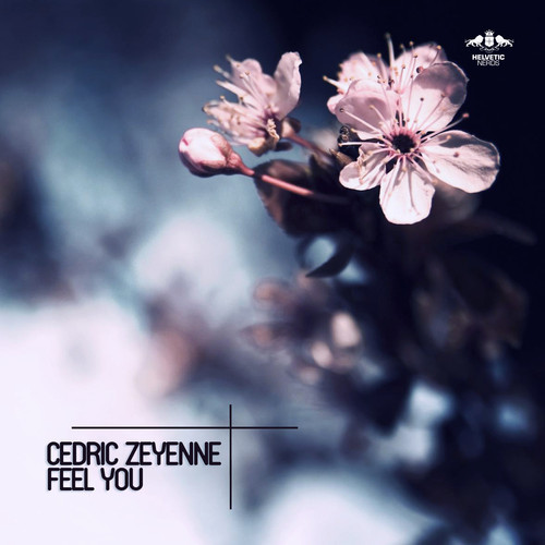 Cedric Zeyenne - Feel You SQ