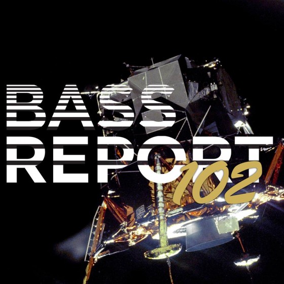 Bass Report #102