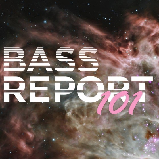 bass report 101