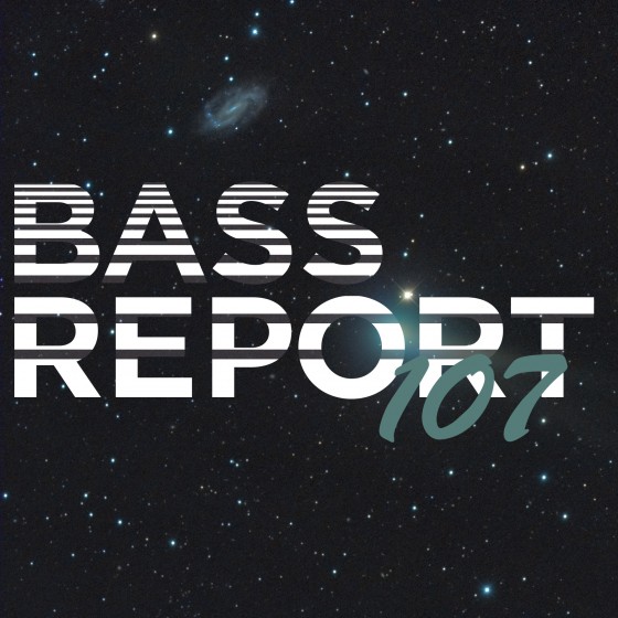 Bass Report 107