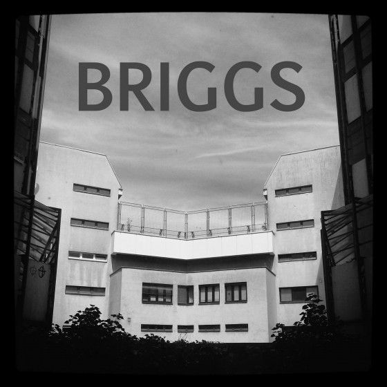 04-Briggs