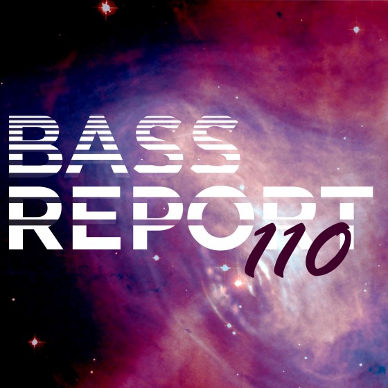 Bass Report 110