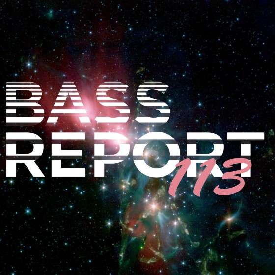 Bass Report 113