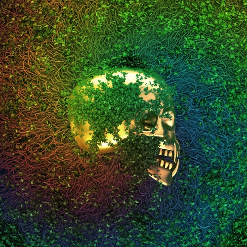 Kai Straw Madonna Salacious Sound